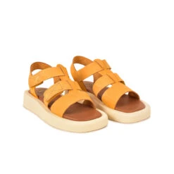 Pataugas ATARI/NU F2I OCRE -Pataugas Magasin SANDALE FEMME ATARI NU F2I OCRE 628448 251 4 0fc7fac9 5088 4f30 8f1a 4cc7a3bacf39